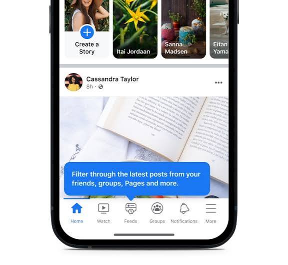 Feed Ads-Starter